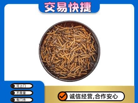 临汾浮山县回收散虫草